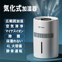 加湿器 気化式 4L 空気清浄 大容量 花粉 除菌 おしゃれ 上から給水 水漏れしない 2段階風量設定 お手入れ簡単 水量確認可能 省エネ 卓上 usb