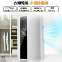 除菌 軽量 静音 湿気フィルター 専用 小型 電気代安い 空気清浄機 ハイブリッド式 家庭用 静音 衣類乾燥 除湿機