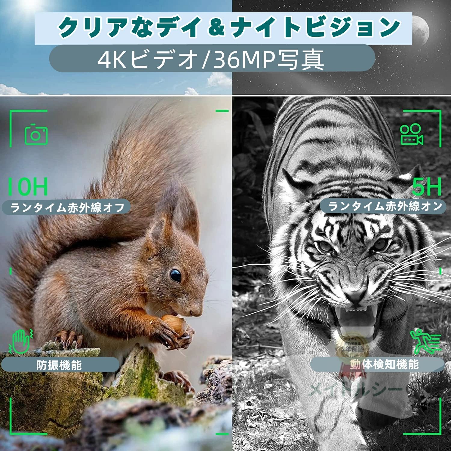 �Ż륹������ 4K���ȥӥ���� �ǥ������ֳ����ʥ��ȥӥ�����д�� 4K���� 36MP���� ˾��� �ֳ����ʥ��ȥӥ���󥴡����� �ϥ�ƥ����� �Ż�� 7��٥��ֳ��������� �ʥ��ȥӥ���� HD�ǥ����� LCD֢�� �Ż����� ������ǽ �̿� ���� SDϿ��