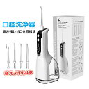 替えノズル IPX7防水 USB 歯垢洗浄 歯間 矯正 歯磨き マウスウォッシャー 口腔ケア 超音波 口腔洗浄機 携帯用(2)