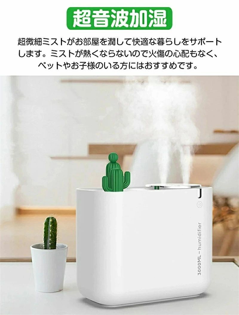 ストア石丸の双口噴霧 卓上加湿器 静音 除菌 かわいい 小型 おしゃれ オフィス USB 加湿器 卓上 超音波 大容量 アロマ｜アングル2
