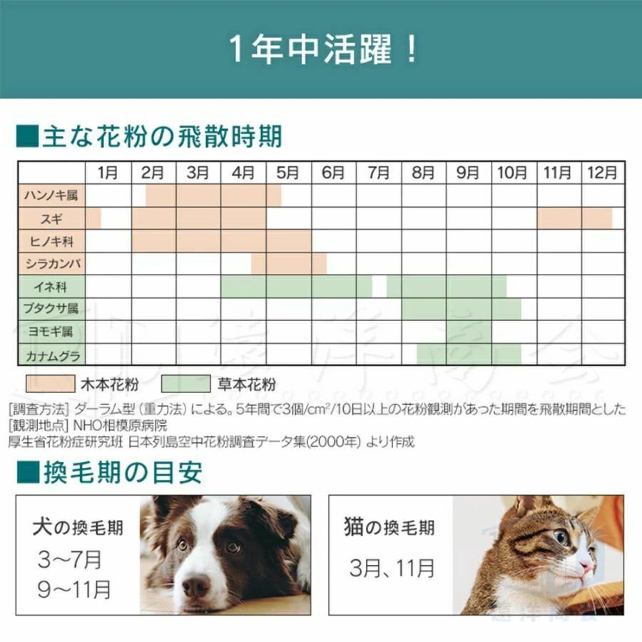 卓上 省エネ 360°循環 ニオイ タバコ カビ ほこり 脱臭ペット臭 PM2.5 20畳 ウイルス除去 小型 おすすめ 花粉対策 2