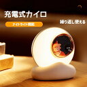 カイロ 充電式 充電式 ハンドウォーマー モバイルバッテリー 充電カイロ 充電式カイロ