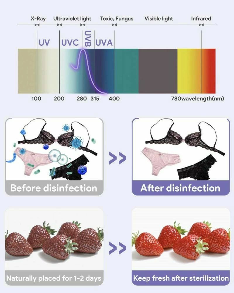 USB���ż� �ݡ����֥��ǶݥХå� LED�糰��������ǥХå� �糰�����ǥХå� �����ǶݥХå�