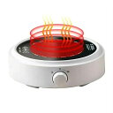 電気ポット 小火?大火調節可能 家庭用800W湯沸かし器 100℃沸騰?保温 ポータブル 湯沸器 電気湯沸かし