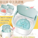 節水 省エネ 旅行用 家庭用 介護用 ベビー服 下着 超音波 USB洗濯器 コンビニウォッシャー 小型 洗濯機 簡易 最新版