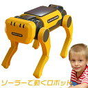 太陽の光で動く!ソーラー電動ロボット 犬 子ども向け 組み立て 玩具 男の子 知育ロボット ソーラーおもちゃ ロボット犬 二重電源 ソー