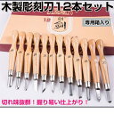 木製彫刻刀12本セット DIY工具 ノミ 篆刻刀 文房具 木工 工芸 趣味 美術 仕事 木彫り 12本組 学校 専用箱入り 持ち運び コンパクト