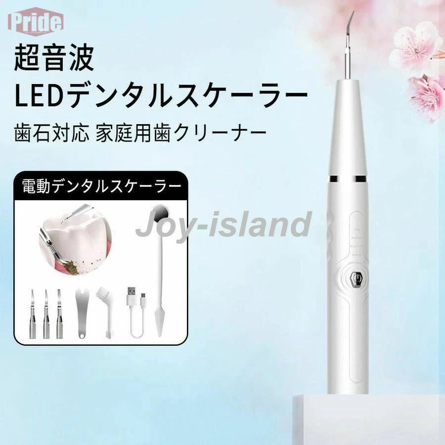 超音波 電動歯ブラシ 口腔洗浄機 口腔ケア美容器 口洗浄