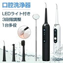 口腔洗浄器 電動歯ブラシ 口内洗浄器 歯石除去 歯磨き 周波振動スケーラー 3段階調節 ミラー付き LEDライト USB充電(2)