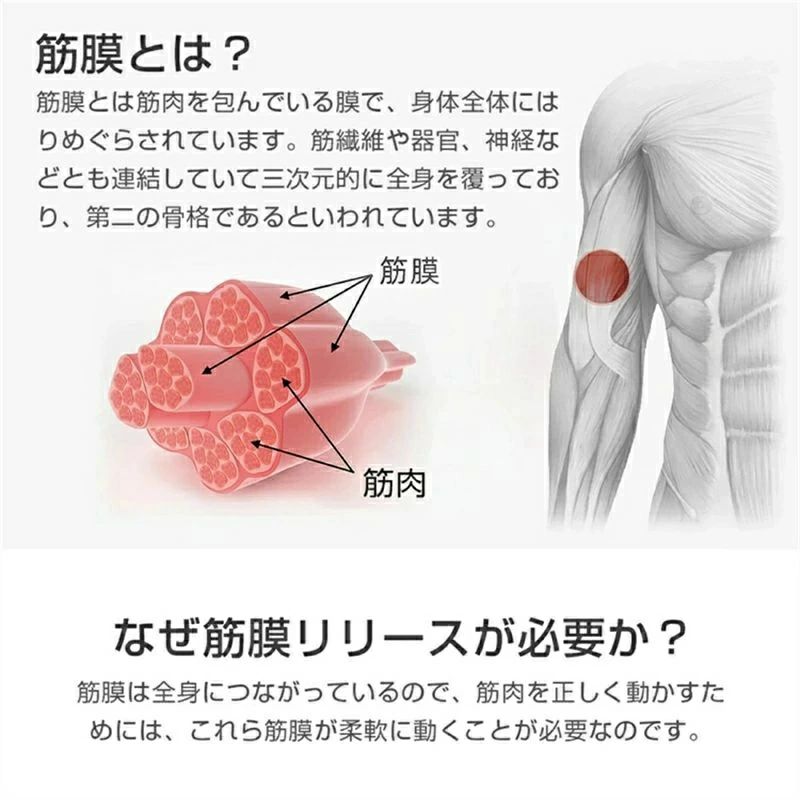 ストア石丸の腰こり こり 肩 軽量 強力振動 低騒音 電動マッサージ器 USB充電 マッサージガン 電動 筋膜リリース｜アングル2