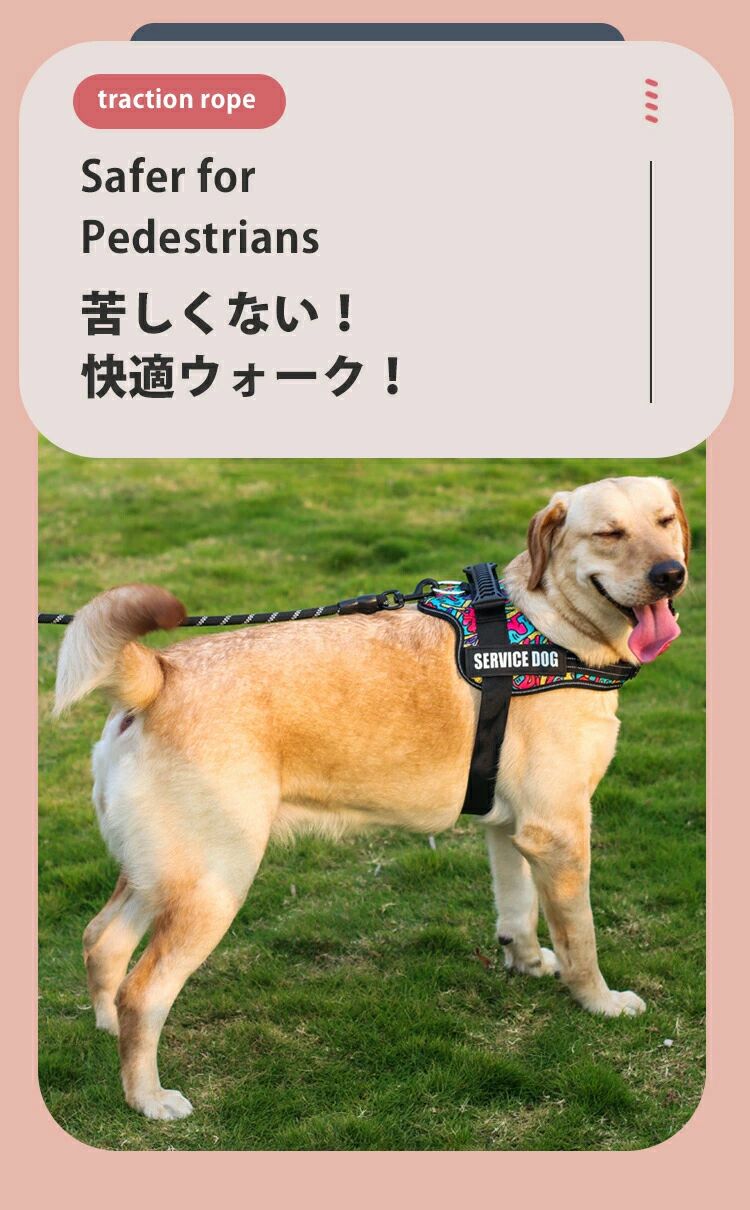 犬 ハーネス 名前 ネーム 胴輪 迷子札 小型犬 かわいい おしゃれ 抜けない 脱げな...