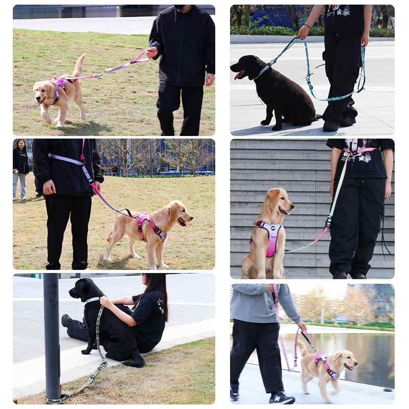 �忧 �� ���� �ݥꥨ���ƥ� ���祮�� ����ǡ������ ���꡼�� ���� ����ǡ������ �ϥ󥺥ե꡼ ���� ��(x5) �Ф᤬�� �ԥ� �꡼�� �� ���� ��...