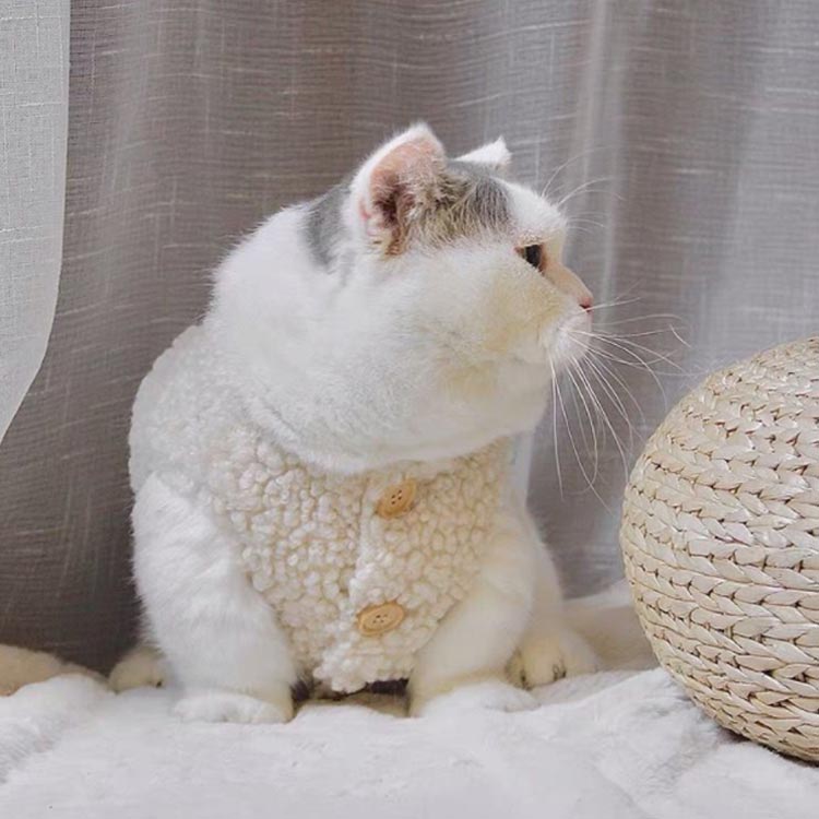 �Ť��� �Ȥ��� �⤳�� ȴ�����ɻ� ����åȥ����� ������ �ȥ��ס��ɥ� ���襤�� ���� �ڥåȥ��å� �դ�դ�