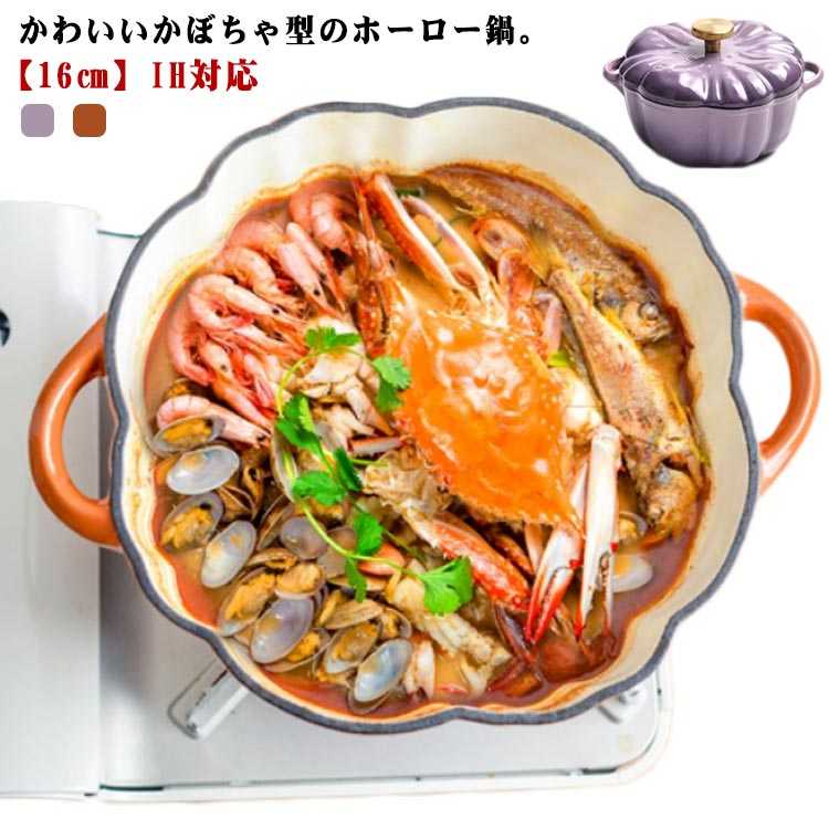 小鍋 小さめ 鍋 ホーロー 鉄鋳物 調理器具 寸胴鍋 カレー鍋 パスタ鍋 冷蔵庫 保存 ホーロー鍋 両手鍋 蓋付き 直火 ほうろう