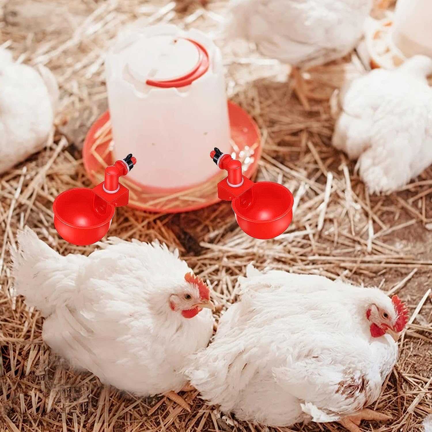 家禽用飼育用品 簡単設置 畜産用具 鶏用 鴨 鳥 家禽 水飲みカップ 家禽用 自動給水...