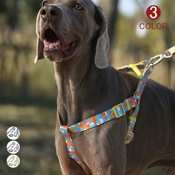 ハーネス リード 胴輪 首輪 犬用 中型犬 大型犬 小型犬 スプリング ペット 8の字ハーネス 通気性 ハーネスセット ドッグラン おしゃれ かわいい お散歩 トレーニング 衝撃吸収 脱着簡単