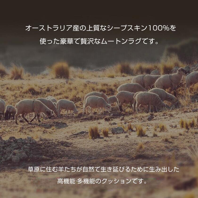 大きい 長毛タイプ ムートン座布団 暖かい あったか 厚い ふわふわ クッション 高級感 癒しグッズ 柔らかい 羊ちゃん型 海外通販 おしゃれ 毛皮 ムートン シートクッション 抗菌 かわいい 椅子ソファー インテリア 車用 防寒対策 秋冬 車座布団 [2]