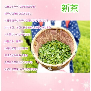お中元 知覧茶 お茶ギフト 内祝 80g×2 スイーツ 和菓子 どら焼き ありがとうセットA