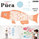 徳永 鯉のぼり こいのぼり えらべる 楽しさ Puca プーカ ふじ FUJI ピンク 桃色 L サイズ 1m 100cm 室内 飾り 端午の節句 名入れ 無料...