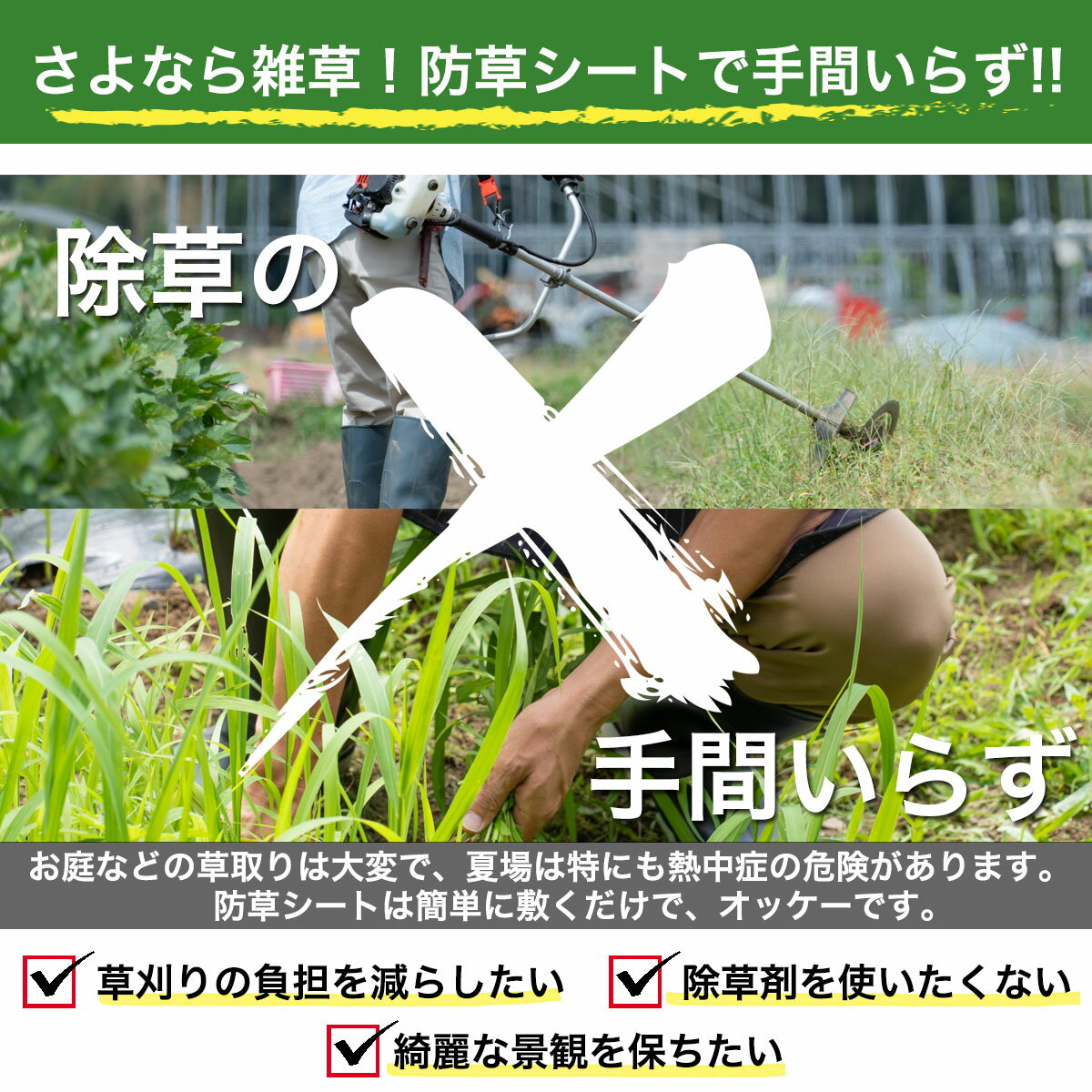 Azwill�ʥ�������������𥷡��� ���ʼ� ���Ѹ� ���ѵ� ��Ʃ�� ��ñ�ܹ� �������� Ʃ���� �Ѹ��� �������� 4�إ��ѥ�ݥ�� �ݥ�ץ��ԥ�� 1m��10m �ԥ󡦥�å��㡼�� �п� ���� ���� ���� ��֤��餺 �ߤ����� ϫ�Ϸڸ� �͹��� ���� ��ñ �ڥå� �¿� ���� UV�ù� ������