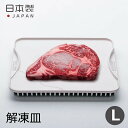 スピード解凍 杉山金属 解凍皿 Newクイッ君 KS-3181 急速解凍!急速冷凍!粗熱取りに!Lサイズ 幅250×奥行215×高27mm 便利グッズ お助けマン キッチングッズ