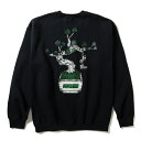 トレーナー STORMY x Careless ストーミー Bonsai Crew Neck Sweat Black Design by careless ケアレス クルーネック スウェット メンズ レディース