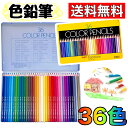 トンボ 色鉛筆 36色 NQ 36色 CB-NQ36C 絵画 美術 ぬりえ トンボ鉛筆 Tombow カラーペンシル COLOR PENCILS コストコ COSTCO