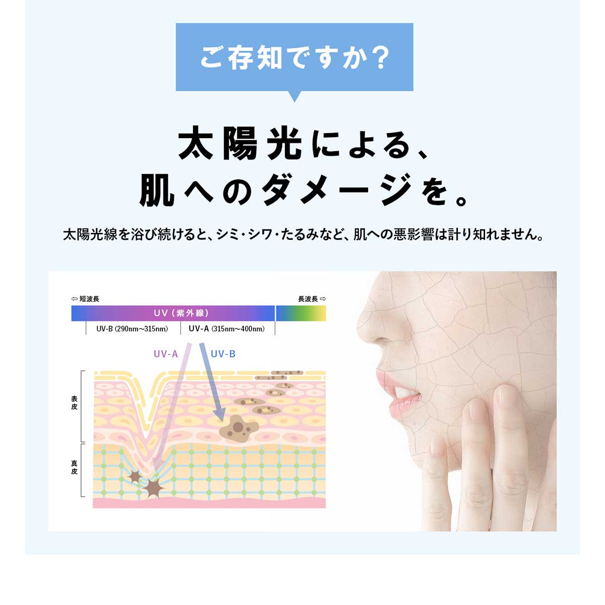 【クーポンで2点購入600円オフ】日傘 完全遮...の紹介画像2