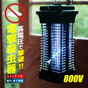 【送料無料】電撃殺虫器（本体0.6kg/屋内専用/吊り下げ用チェーン付/ブラック） OBK-GH106W(株)オーム電機08-0210★離島 沖縄地域は送料の追加を頂きます★誘虫効果の高い光で虫を誘い高電圧で撃破。屋内専用 吊り下げ式 AC電源