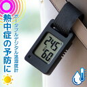 【送料無料】ポータブル温湿度計(熱中症予防指針4段階表示/コイン型電池 CR2032×1個付属/ブラック) TEM-801-K(株)オーム電機 08-1453◎...