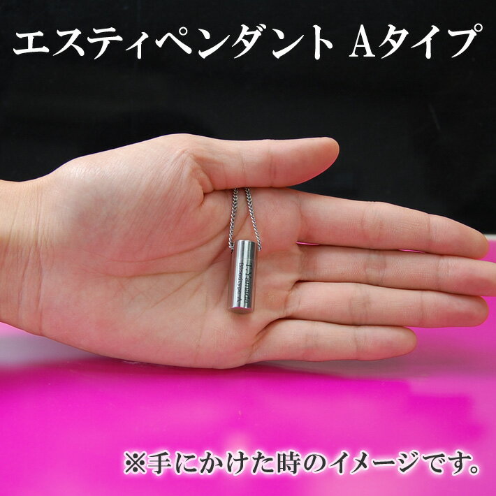 卸し売り購入 卸し売り購入セール ピルケース ニトロケース ペンダント 式 ネックレス 型 ニトロ ニトロ 入れ 入れ ペンダント 携帯 おしゃれ プレゼント ロケット 薬入れ エスティペンダントaタイプ 刻印2行 送料 無料 文字 入れ 携帯 防水性 ニトロ