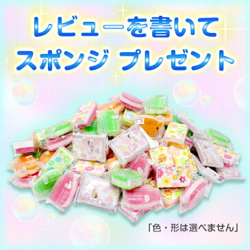 【2160円以上送料無料】虫よけ ネットパーカー ホワイト F7298 虫除け 帽子 防虫ネット