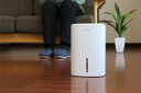 ドリテック コンパクト除湿器 ロワン ホワイト JY-102 WT dretec タンク容量 800ml 大容量 小型 ペルチェ式 省スペース 引き出し式 こぼれない 除湿器 ミニ 梅雨対策 湿気対策 玄関 クローゼット 寝室 白 ホワイト