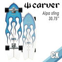 CARVER カーバー スケートボード Aipa sting アイパスティング 30.75” サーフスケート CX トラック 陸トレ サーフィン練習用 ロンスケ 日本正規品