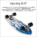 CARVER カーバー スケートボード Aipa sting アイパスティング 30.75” サーフスケート CX トラック 陸トレ サーフィン練習用 ロンスケ 日本正規品 2