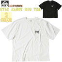 22 SS REEF リーフ Tシャツ STAY SANDY BIG TEE トップス 半袖 メンズ アウトドア サーフィン マリンスポーツ 品番 RFTEM2202 日本正規品