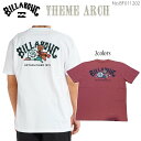 【7/19~7/25エントリーでP10倍】25 SS BILLABONG ビラボン Tシャツ THEME ARCH 半袖 トップス ティーシャツ ロゴ カジュアル バックプリント アウトドア メンズ 2025年春夏 品番 BF011202 BF011-202 日本正規品