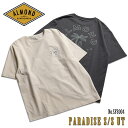 【7/19~7/25エントリーでP10倍】25 Almond Surfboards & Design アーモンドサーフボードデザイン 半袖ラッシュガード ラッシュ Tシャツ 水陸両用 UV加工 日焼け防止 メンズ ユニセックス PARADISE S/S UT 2025年春夏 品番 SF8004 日本正規品