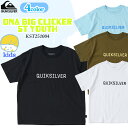 25 QUIKSILVER クイックシルバー キッズ Tシャツ DNA BIG CLICKER ST YOUTH 半袖 サーフィン マリンスポーツ ボーイズ 子...