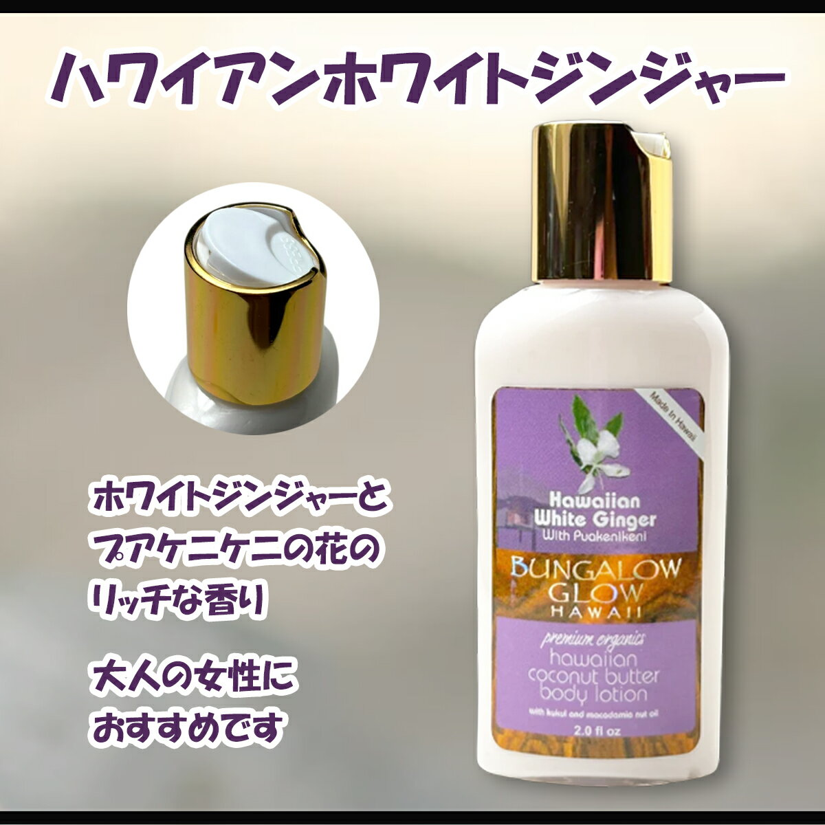 Pick the Hawaii bubble ...の紹介画像3