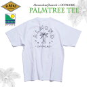 23 SS Almond アーモンド OFFSORE オフショア コラボTシャツ PALMTREE TEE Tシャツ ティーシャツ 半袖 トップス ヤシの木 パームツリー 海 サーフィン 夏服 メンズ レディース ユニセックス 2023年春夏 品番 ALOF-002 日本正規品