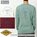 20 Almond Surfboards Design アーモンドサーフボードデザイン PARADISE USA COTTON L/S T-SHIRTS ロンT ロングスリーブTシャツ メンズ 品番 LS2004W 2020年秋冬 日本正規品