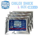 【5/9〜5/15エントリーでP10倍】津田商会 保冷剤 クーラーショック COOLER SHOCK Lサイズ 3個 セット お出かけ アウトドア キャンプ 溶...