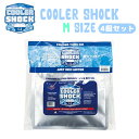 津田商会 保冷剤 クーラーショック COOLER SHOCK Mサイズ 4個 セット お出かけ アウトドア キャンプ 溶けない 持続力 薄型 お弁当 強力 小型...