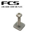 FCS ロングボードフィン固定ボルト LONG BOARD SCREW AND PLATE ロングボード スクリュー アンド プレート ボルト ネジ スマートスクリュー シングルフィン シングルボックス シングルBOX フィン 固定用 日本正規品