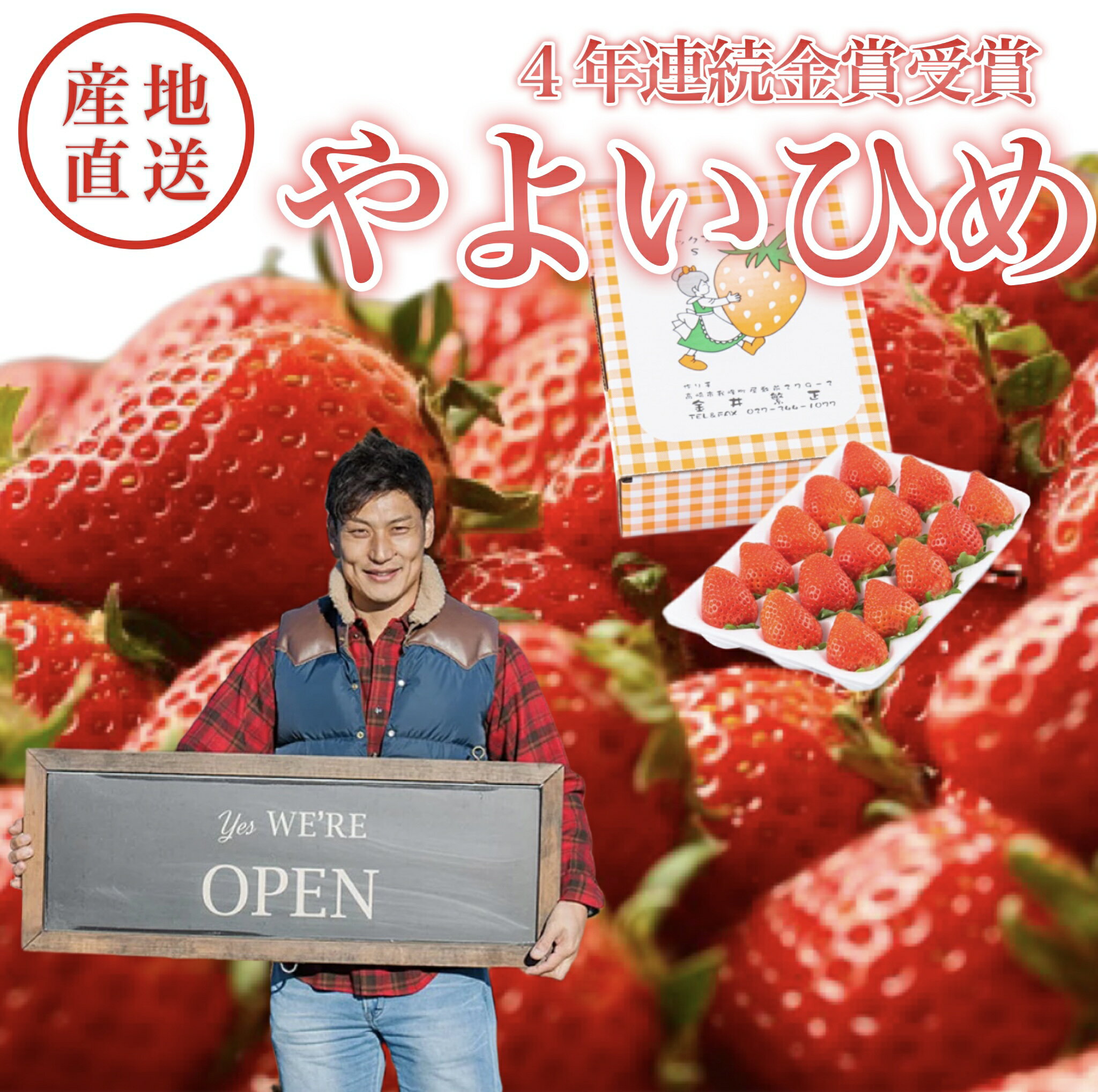 いちご スーパーデラックスシングル やよいひめ　4年連続金賞 群馬県知事賞 いちご品評会 高級 ギフト 金井いちご園 高品質 高鮮度 安心安全 お取り寄せ お土産 お歳暮 お年賀 贈り物 贈答品