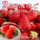 いちご2品種Wスーパーデラックス　いちご　お歳暮　お年賀　贈り物　お取り寄せ　お土産　法事　お見舞い　ギフトセット