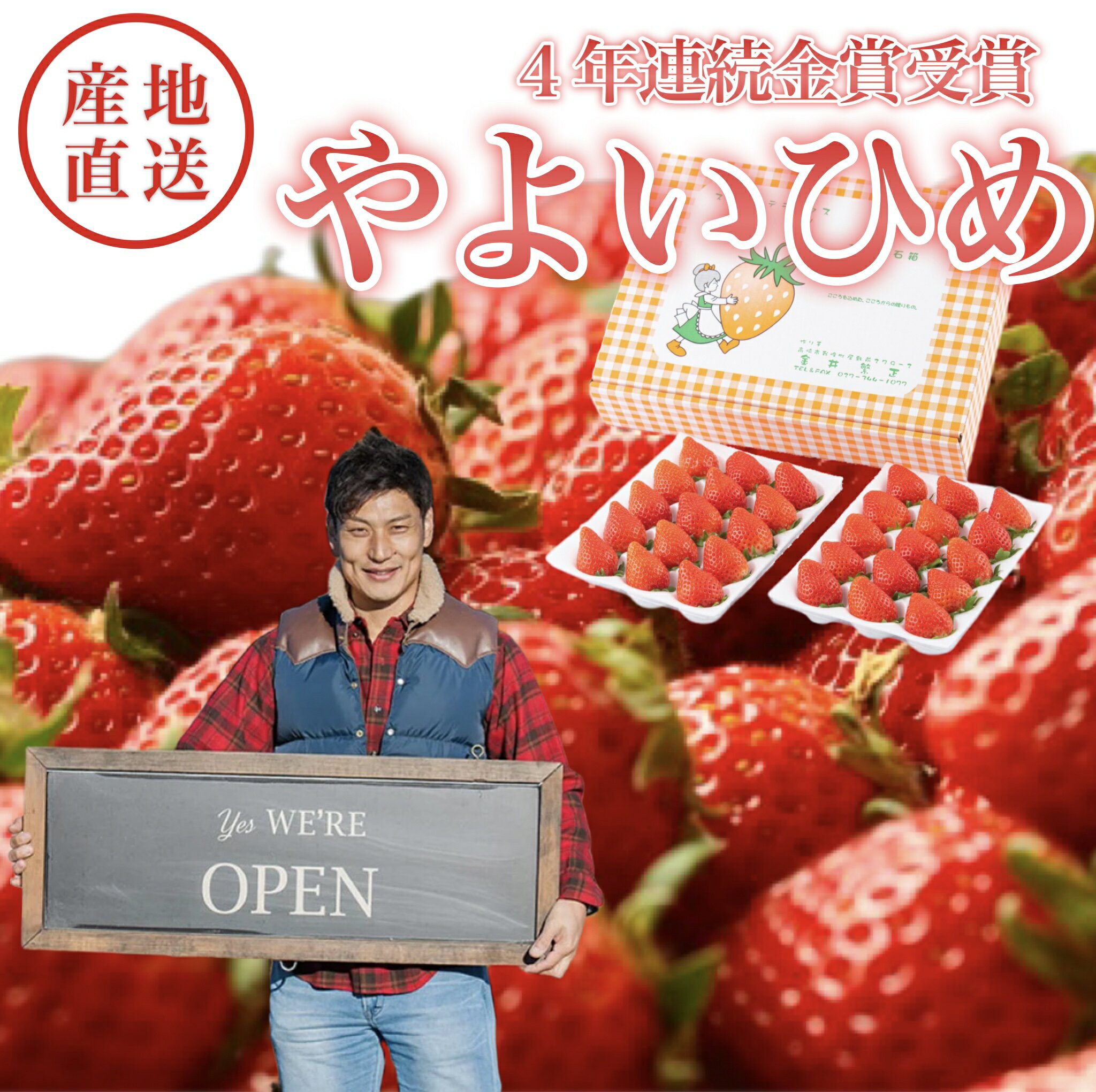 いちご スーパーデラックスダブル やよいひめ 4年連続金賞 群馬県知事賞 いちご品評会 高級 ギフト 金井いちご園 高品質 高鮮度 安心安全 有機質中心の土づくり 超減農薬栽培 小中学校保育園学校給食使用 お取り寄せ お土産 お歳暮 お年賀 贈り物 贈答品