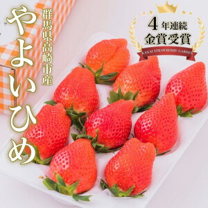 スーパーデラックスシングル やよいひめ　4年連続金賞 群馬県知事賞 いちご品評会 高級 ギフト 金井いちご園 高品質 高鮮度 安心安全 お取り寄せ お土産 お歳暮 お年賀 贈り物 贈答品